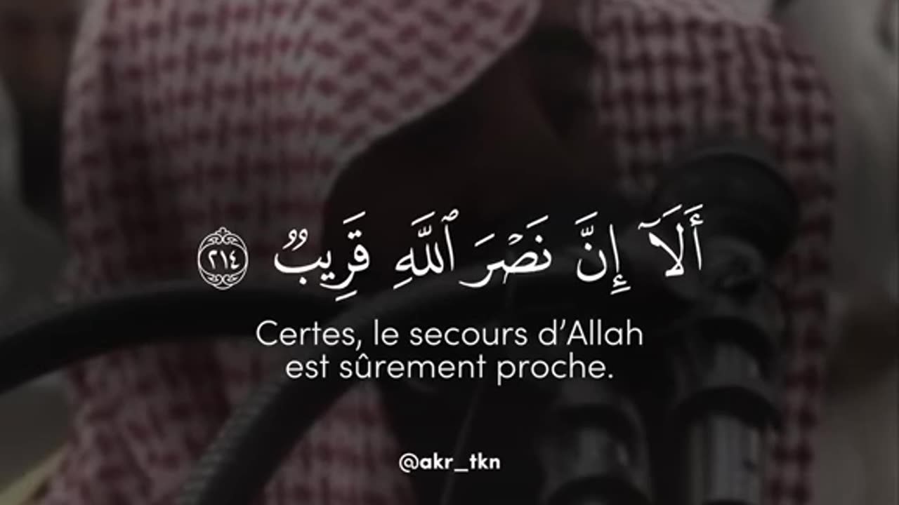 heart touching quran recitation || Quran Meditation#quran_tilawat #quran_reels #islamic_Status