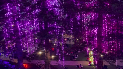 Flashy Christmas Light Show at the Hotel del Coronado