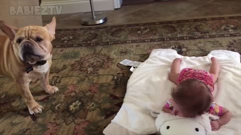 Adorable Babies Playing With Dogs and Cats