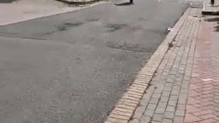 my friend is starting to go crazy on motorbikes again