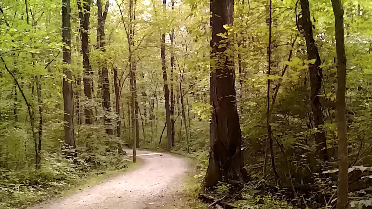 Sundayscape Clips : Sharon Woods Summer Revisit Pt 2