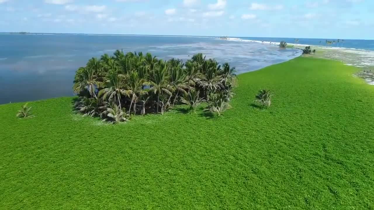 5 Celebrity Private Islands That Aren't Publicly Available