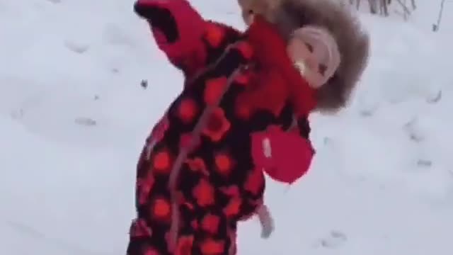Dog 🐕 funny video