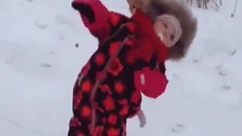Dog 🐕 funny video