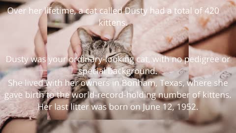 Facts About Cats That You Should Read Prt.3.