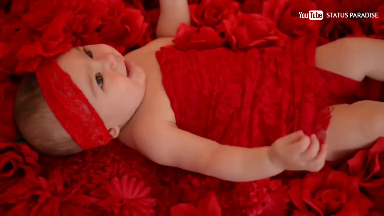 Funny Cute Baby Videos