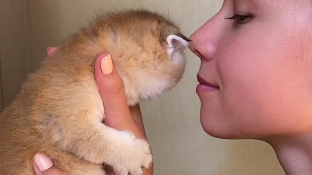 A girl playing with her pet during quarantine times