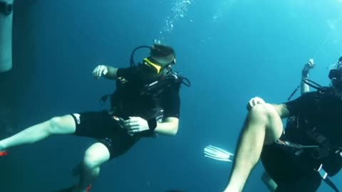 SCUBA DIVING WITH SHARKS!