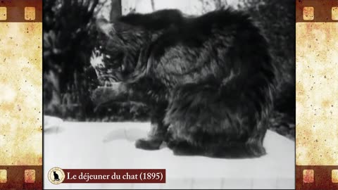 Le déjeuner du chat (1895) 🐱 Cat Movies 🎥🐈