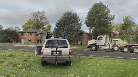 Strong Winds Knock Down Trees in Salt Lake City