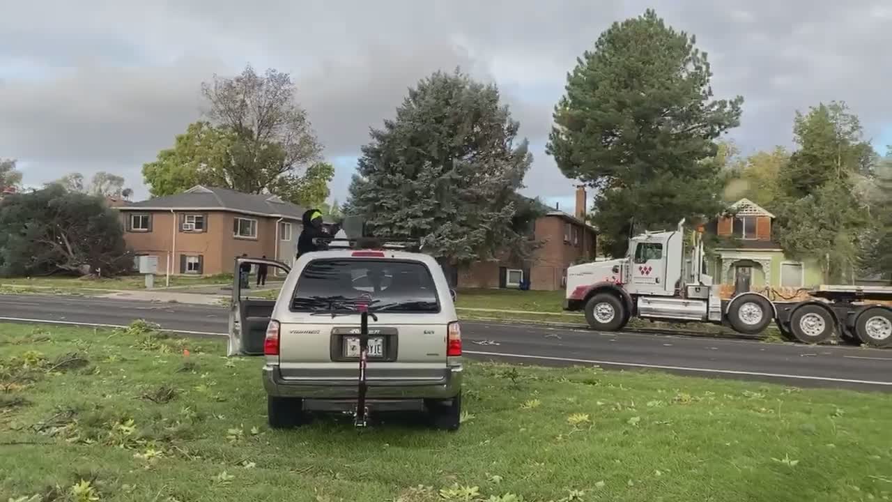 Strong Winds Knock Down Trees in Salt Lake City