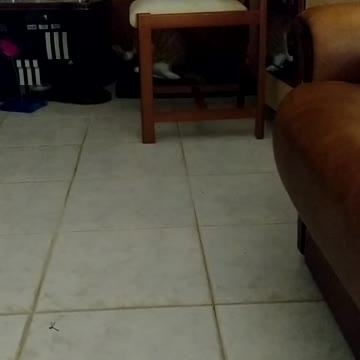 tobias and the closet