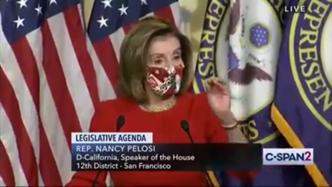 Pelosi Is Despicable