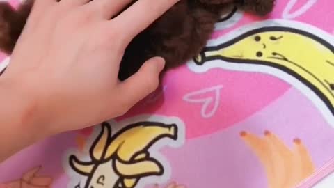 tickle