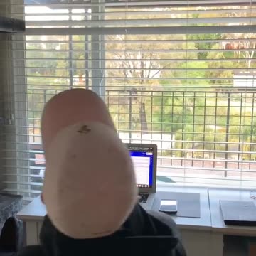 Tech-Savvy: Essential Tools for Remote Work Success