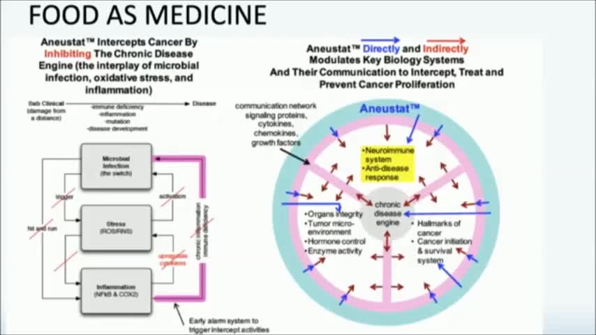 Dr Judy on immunity