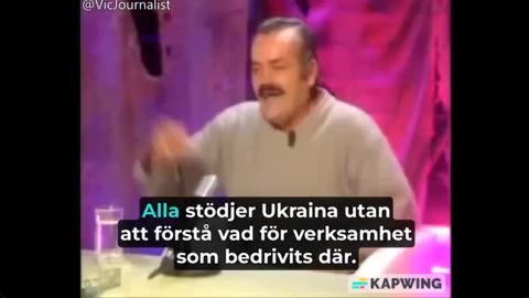 Sverige och svensken - Klockren analys! (svensk text)
