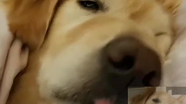 I woke up to something to eat
