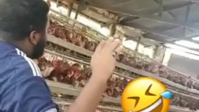 Very funny man teaches chickens to talk 😂🤣