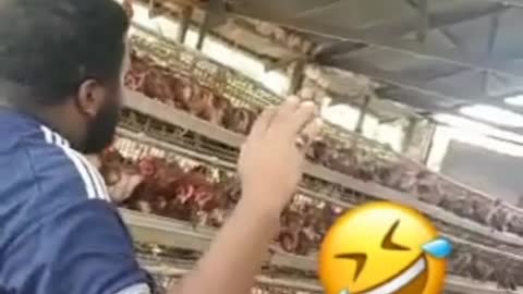 Very funny man teaches chickens to talk 😂🤣