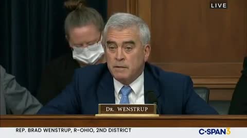 Wenstrup comments on domestic terrorism during House Intelligence Committee hearing