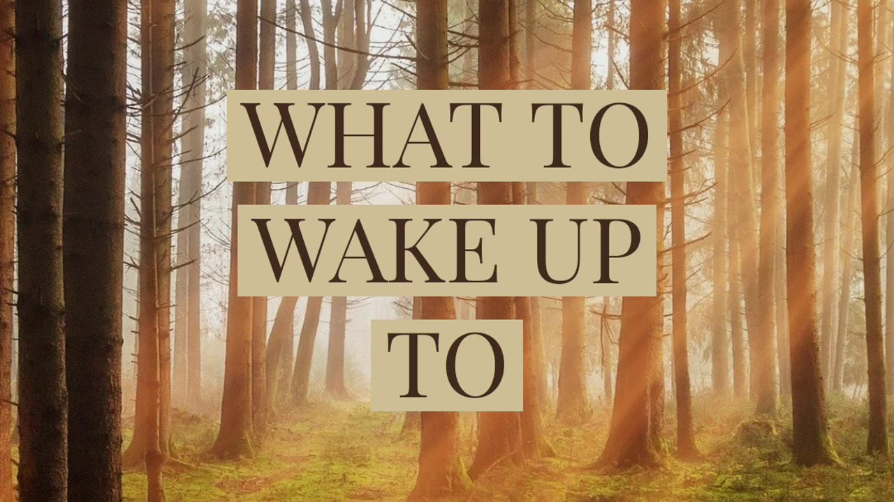 WHAT TO WAKE UP TO