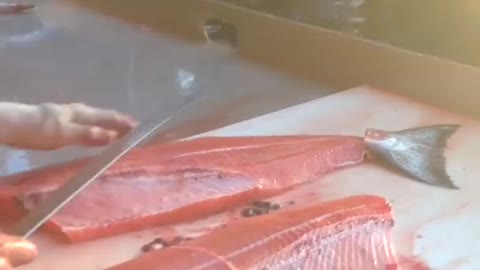 Fastest salmon cutter