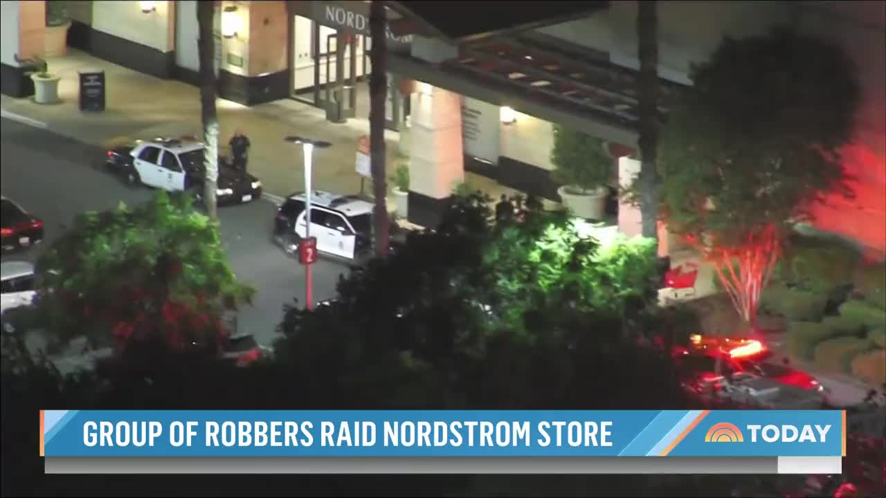 Los Angeles Nordstrom robbed for handbags, security guard assaulted