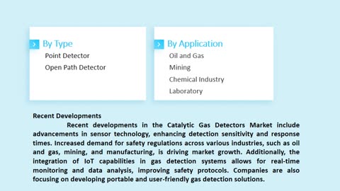 Catalytic Gas Detectors Market Growth and Opportunities, 2025-2033