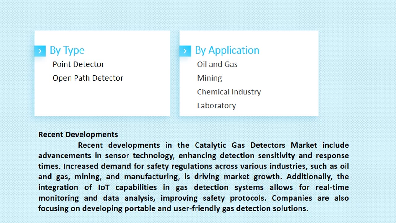 Catalytic Gas Detectors Market Growth and Opportunities, 2025-2033