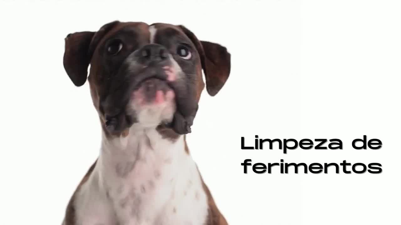 🐶Aprenda a montar um kit de primeiros socorros para pets