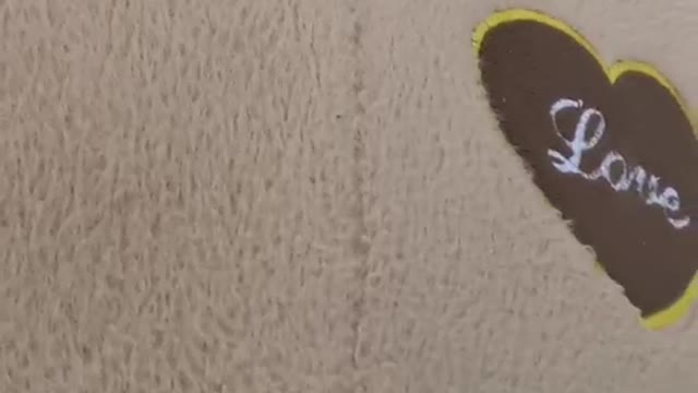 Check out the cuddly teddy bear, the kids' favorite toy