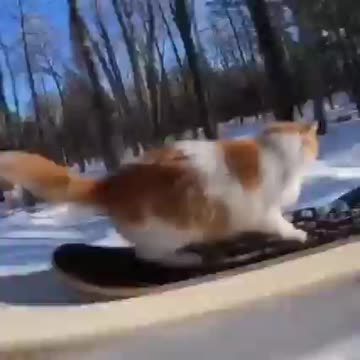 Hello guys , can any one help me driving this seld