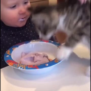 Baby and cat eat for funny