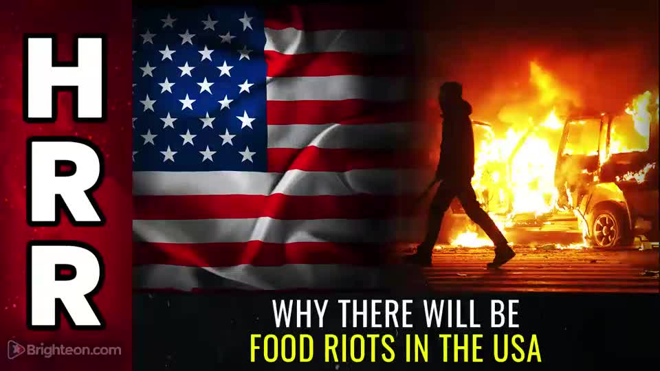 Special Report - Why There Will Be FOOD RIOTS in the USA