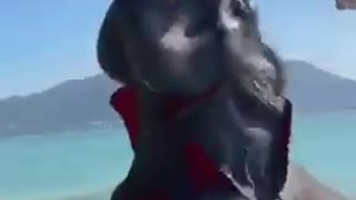 Girl got thrown by elephant