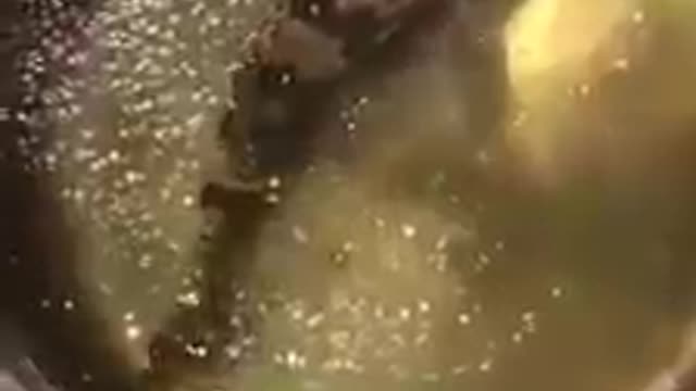 The magic of pepit molecule