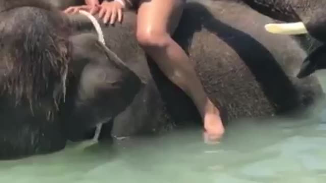 She just wanted to bathe but the elephant didn't 😱