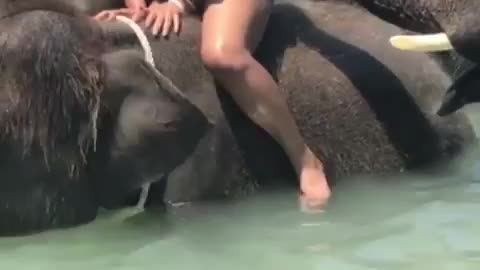 She just wanted to bathe but the elephant didn't 😱