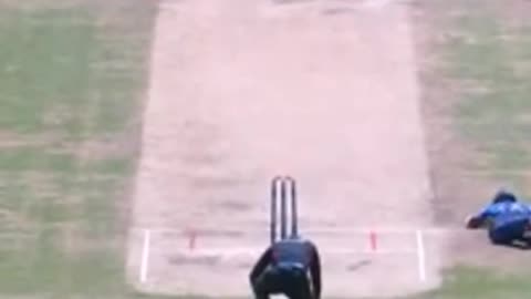 funny moment in a cricket game