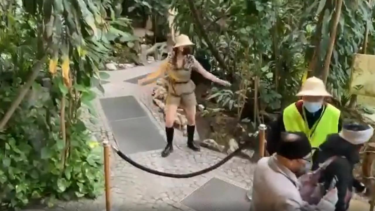 The Belgian Zoo of Tricking Children into Taking the Covid Shot