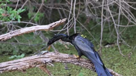 Dinner's Almost Ready