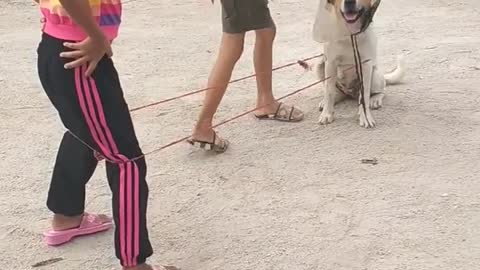 Dog Helps Girls with Game