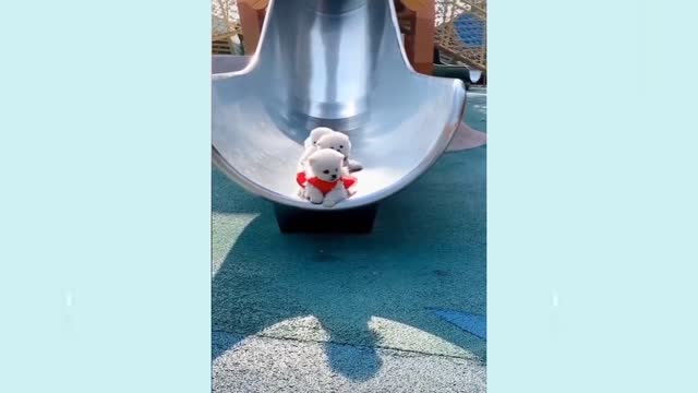 Puppies slide down the children's slide