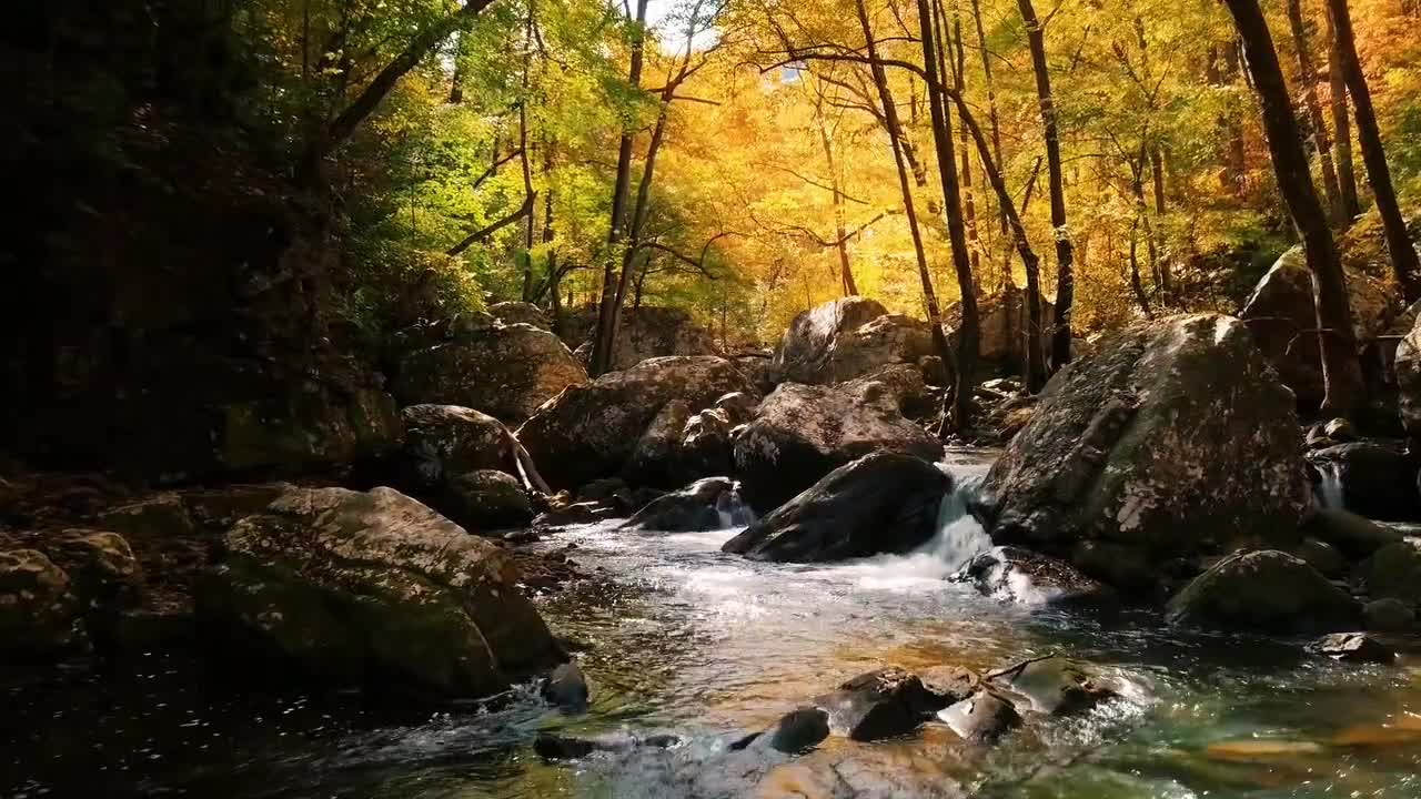 Relaxing and soft music