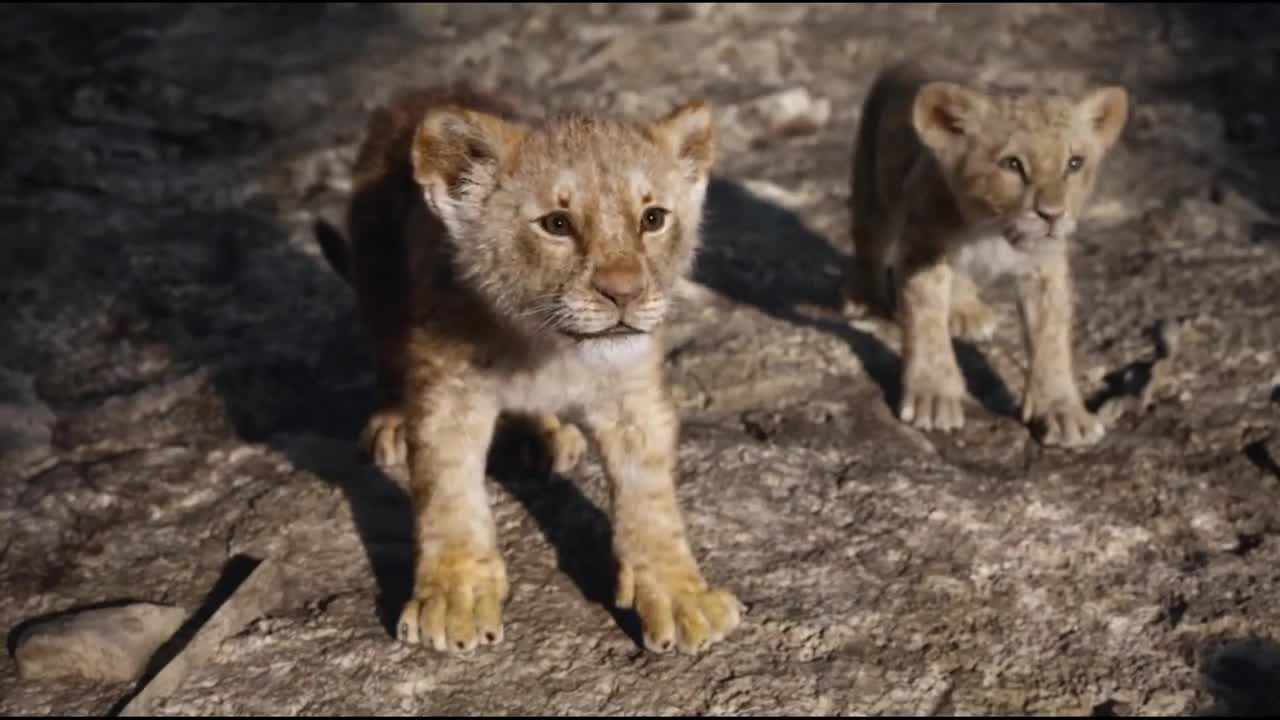 A father is always hero!The lion king movie goosebump scene