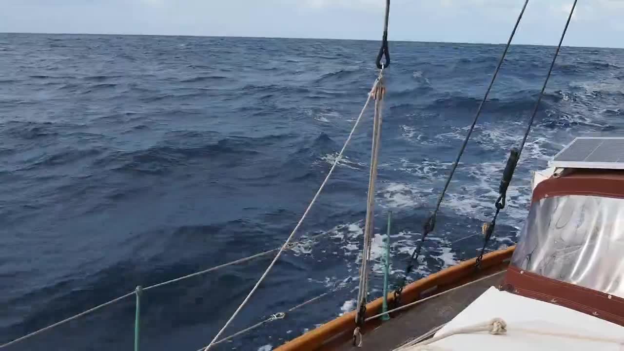 Two men crossing the Pacific in a wooden boat (3)