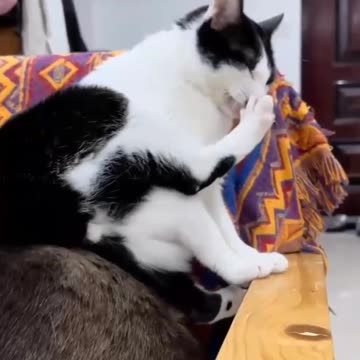 Spot taken. Not anymore