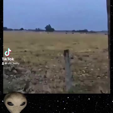 8/1/24 Tic Tac style UFO Spotted Over Central American Ranch