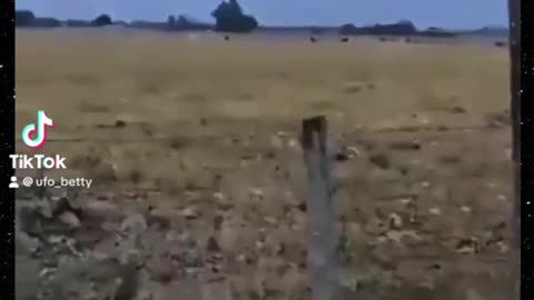 8/1/24 Tic Tac style UFO Spotted Over Central American Ranch